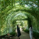 시민운동장 시민체육관 이미지