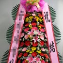 OK식물원 이미지
