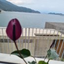 호산나 디오션 남해 이미지