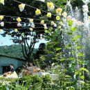 가야금산조 축제 이미지