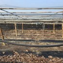 솔라공인중개사사무소 이미지