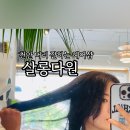 다원헤어샵 네이버블로그