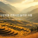 썬자원개발 | 감자의 역사와 세계 식문화 속 영향