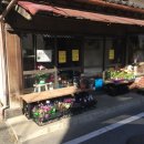 레바타 | 시무상 퇴사하다 !!