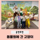 고양이숲 | 용인어린이상상의 숲 공연 동물원에 간 고양이 관람후기(유치원생, 저학년 추천!)