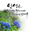 . 반창고 . 노부부가 살았는데, 이미지