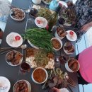 아마란스피누스 네이버블로그