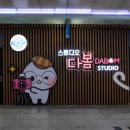 다봄