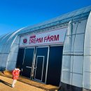 대지농장(1) | 파주 아이와 갈만한 곳 딸기체험 파주 드림팜 딸기농장 실내 키즈카페 딸기따기 모래놀이