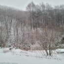 차항1리 마을회관 이미지