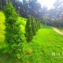 수종목장 이미지