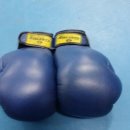 마루복싱 이미지