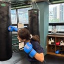 씨엘권투체육관 이미지