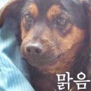 동인종합동물병원 이미지