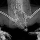 검단이담동물의료센터 이미지