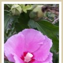 느낌안마시술소 이미지