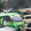 부산진구-13 네이버블로그