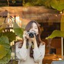 돌하르방미술관 이미지