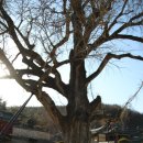 영천서원 이미지