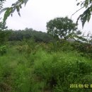 복음농장 이미지