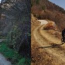 대청호코스 이미지