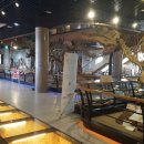 안면도쥬라기공원 이미지