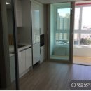 에코리사 이미지