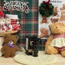 케이나인코리아(K9 KOREA) | 케이나인 디탱글 스프레이 체험단 두번째 후기