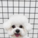 MUNG MOO 이미지