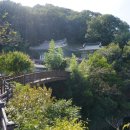 남지철교길 | 함안 능가사 남지 철교 전망 용화산 트레킹 코스 여행 후기