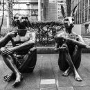 아그네스 이미지