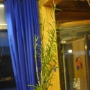 &lt;디자인 전시&gt; 봄의 그늘에 가려진 것들에 눈을 돌리는 - ANTISPRING