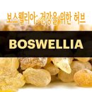 검증된 허브를 찾고 있다면 보스웰리아를 드셔보시기 바랍니다. 이미지