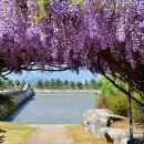 사회복지법인여수애양병원 이미지