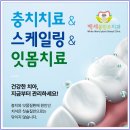 백세플란트치과의원 이미지