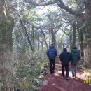 선녀와 나무꾼 이미지