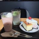 투썸플레이스 반포대로점 | 투썸플레이스 반포대로점 후기 및 신상 그릭 요거트 피치 프라페 내돈내산 후기