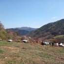 금산농장 2 이미지