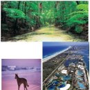 켄버라모텔 이미지