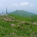 노고단-11 이미지