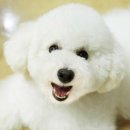 나랑동물병원 이미지