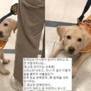 거부 인사이트
