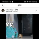 보보캐터리 네이버블로그