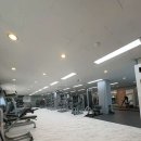 리볼트짐 이미지