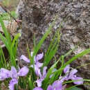 두원마을 이미지