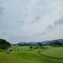 타니스테이 이미지