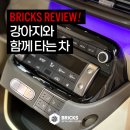 화이트컴퓨터크리닝쎈타 | 대구 실내크리닝 추천 강아지털 세차 자동차 강아지털 제거!