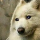 연천비경펜션 이미지