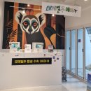 [강남] 태계일주 시즌3 팝업후기, 솔의눈 하이볼