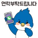 금천유도체육관 이미지